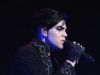 IMG_0660_1024x768.jpg
