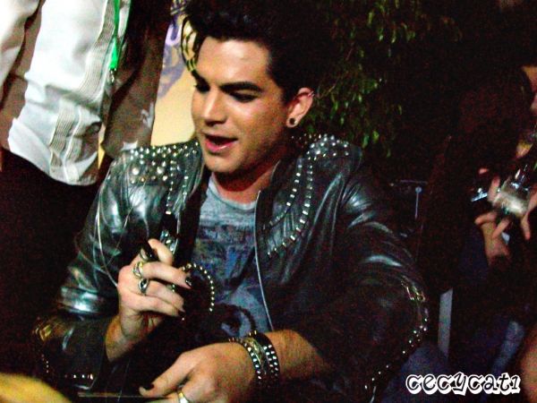Créditos: @Cecycat1
