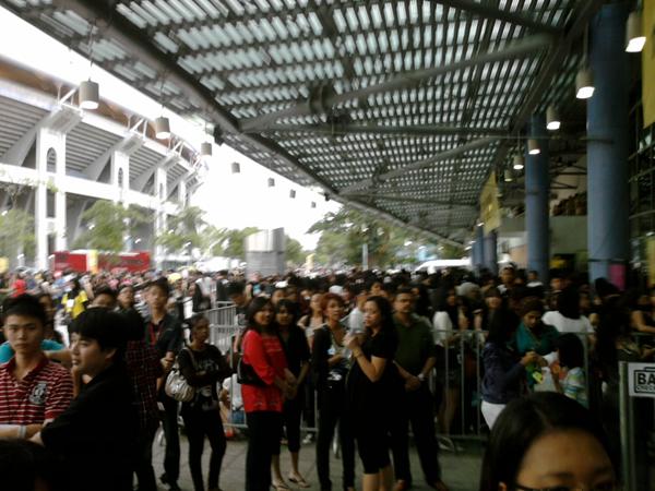 Créditos: Orchidas
