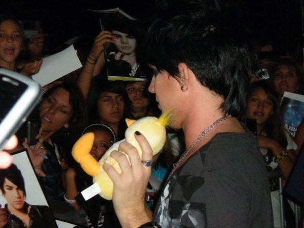 Créditos: lambert-pics.com
