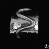 Nome da imagem=snakecuffhead.jpg
Tamanho=74KB
Dimensão=560x560
Data Envio=20 Set, 2011 snakecuffhead.jpg