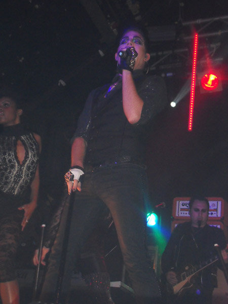 Créditos: Daz Gale
