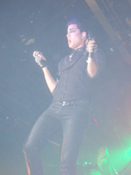 Créditos: Daz Gale

