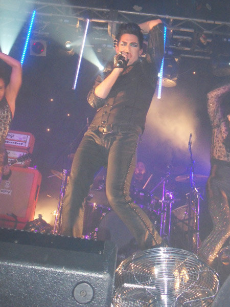 Créditos: Daz Gale
