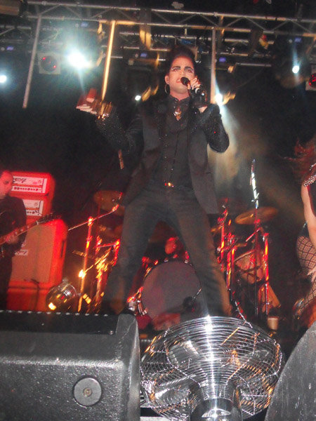 Créditos: Daz Gale
