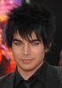 Nome da imagem=adam_lambert_and_katy_perry_attend_this_is_it_premiere_celebritycity_arielriann_283782148.jpg
Tamanho=64KB
Dimensão=422x600
Data Envio=30 Out, 2009 adam_lambert_and_katy_perry_attend_this_is_it_premiere_celebritycity_arielriann_283782148.jpg