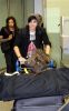 adam-lambert-042910-3.jpg
