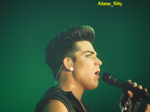 Créditos: @Adams_Kitty
