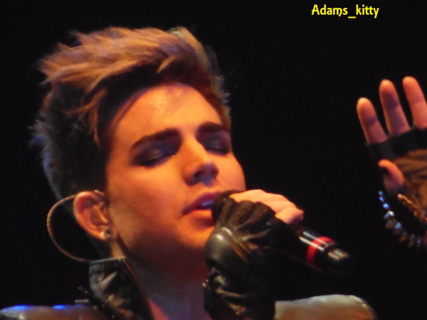 Créditos: @Adams_Kitty
