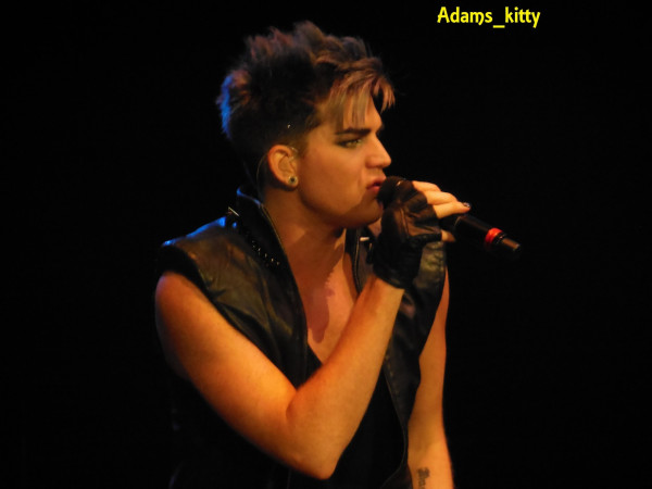 Créditos: @Adams_Kitty
