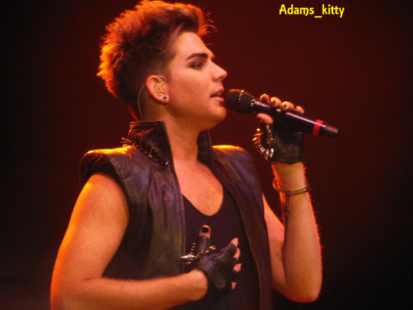 Créditos: @Adams_Kitty
