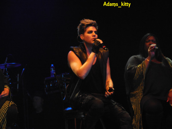 Créditos: @Adams_Kitty
