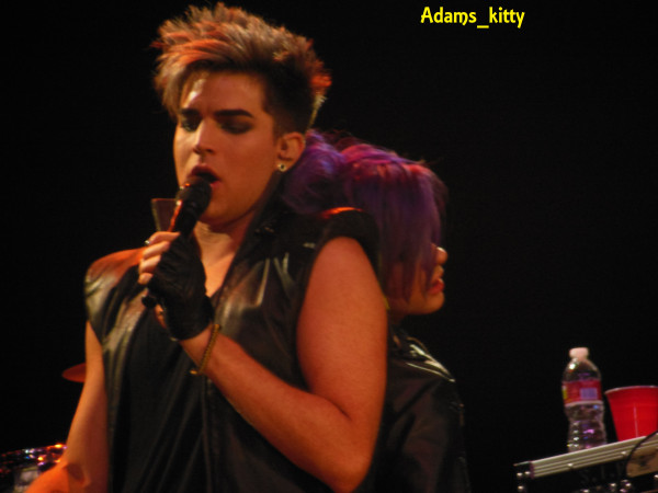 Créditos: @Adams_Kitty
