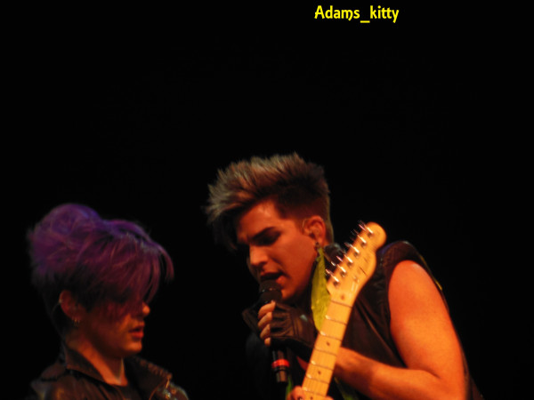 Créditos: @Adams_Kitty
