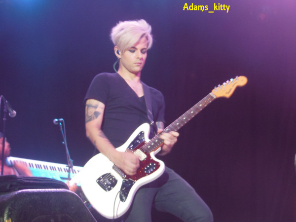 Créditos: @Adams_Kitty
