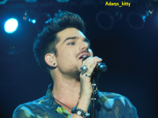Créditos: @Adams_Kitty
