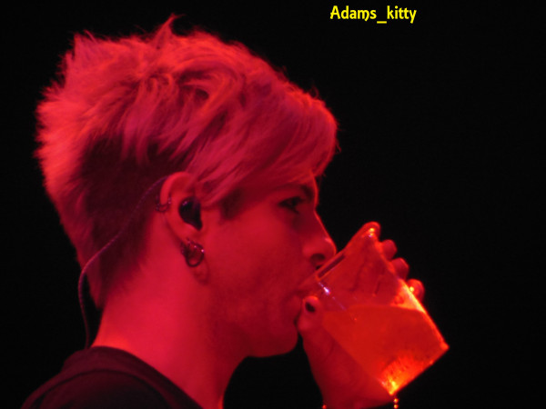 Créditos: @Adams_Kitty
