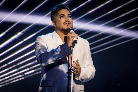 Créditos: Shutterstockv
