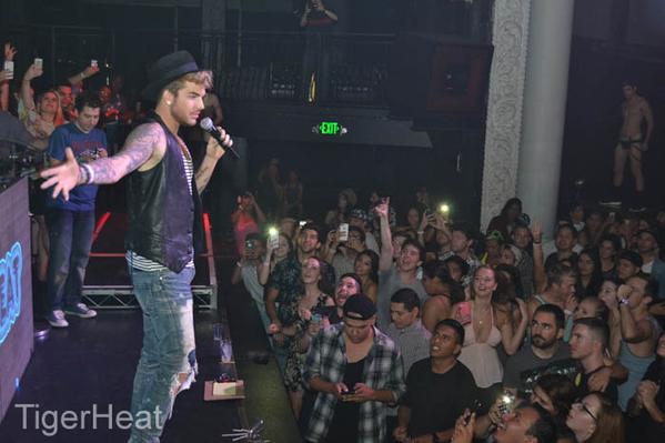 Créditos: @TigerHeatLA
