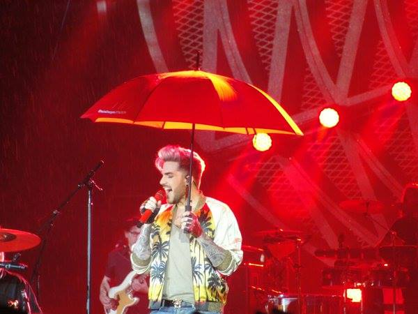 Créditos: @allthatispink
