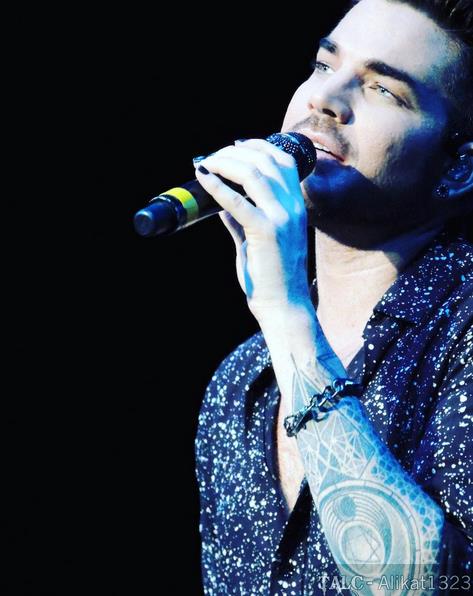 Créditos: alikat1323
