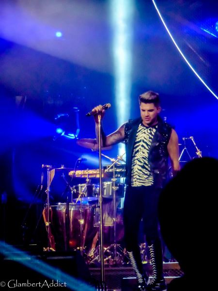 Créditos: @GlambertAddict
