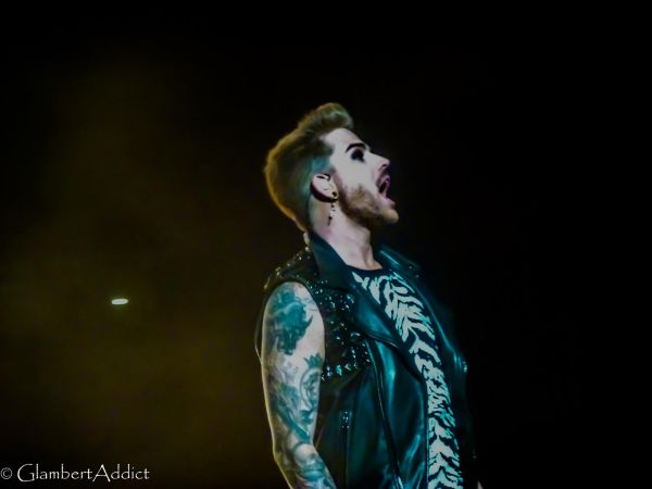 Créditos: @GlambertAddict
