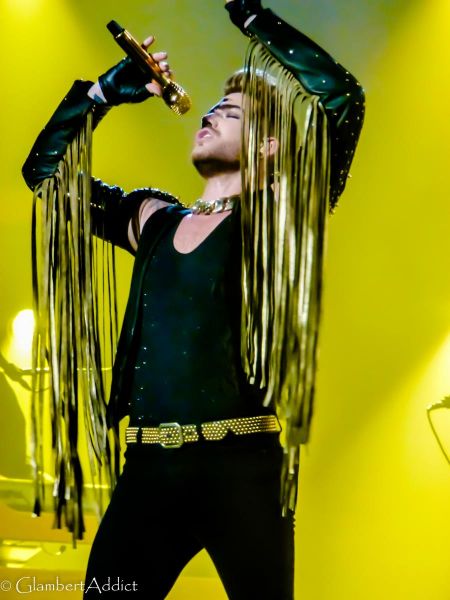 Créditos: @GlambertAddict
