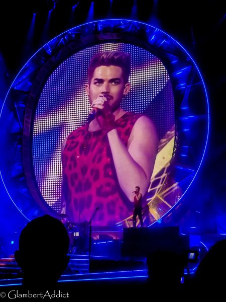 Créditos: @GlambertAddict
