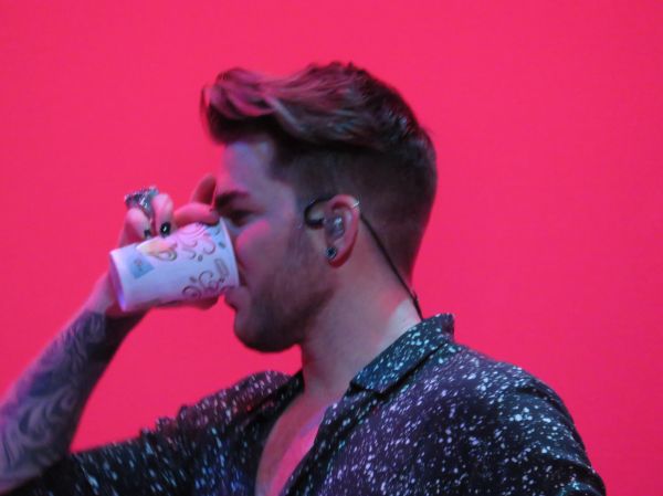 Créditos: @Wild4Adam
