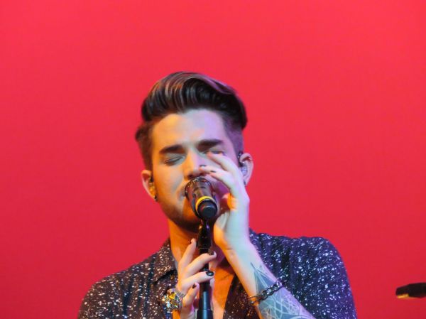 Créditos: @Wild4Adam
