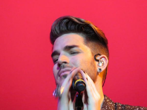 Créditos: @Wild4Adam

