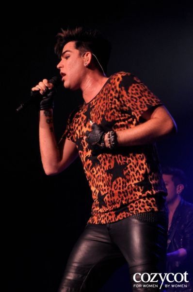 8537685-r.jpg