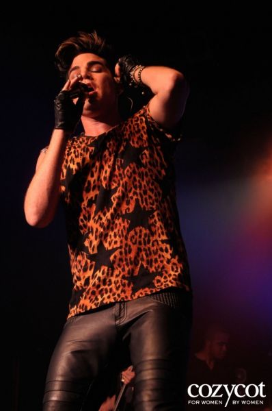 8537686-r.jpg