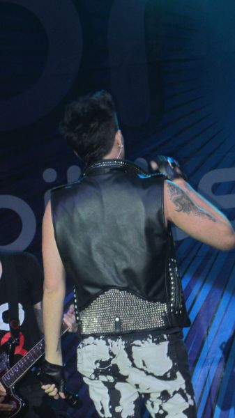 Créditos: glambert0124
