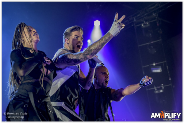 Créditos: AMNplify
