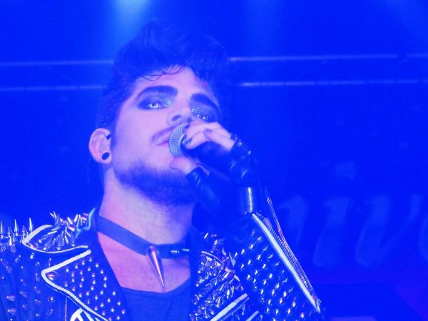 Créditos: @Adams_Kitty
