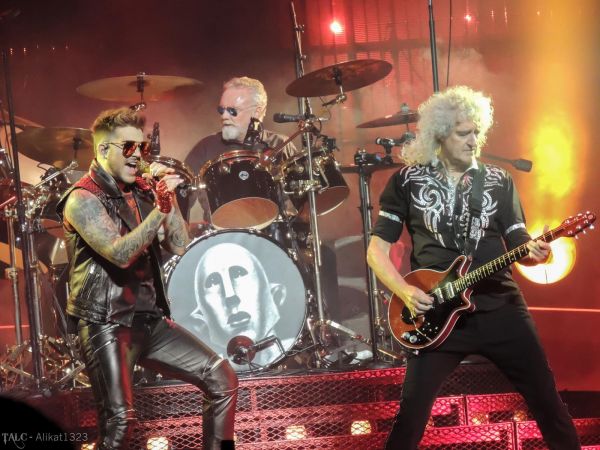 Créditos: @Alikat1323
