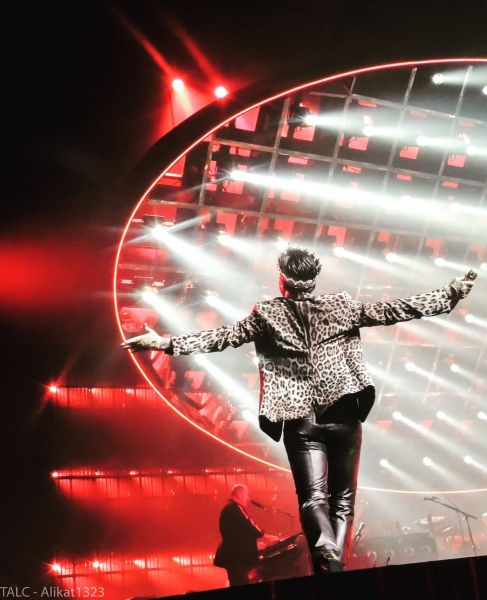 Créditos: @Alikat1323
