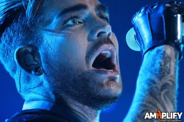 Créditos: Amnplify
