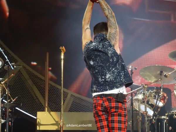 Créditos: Belgian Glamberts
