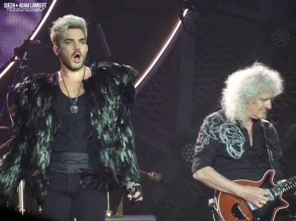 Créditos: Belgian Glamberts
