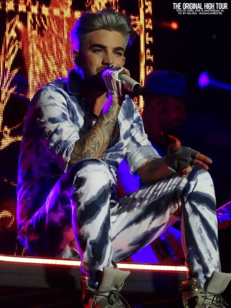 Créditos: Belgian Glamberts
