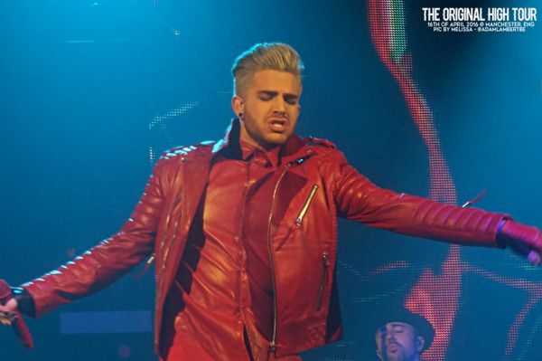 Créditos: Belgian Glamberts
