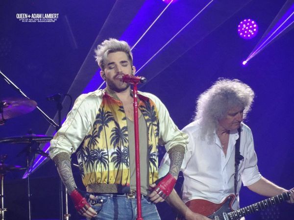 Créditos: Belgian Glamberts
