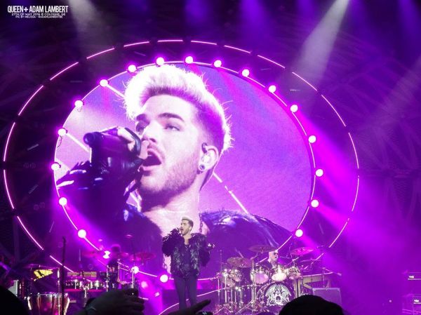 Créditos: Belgian Glamberts
