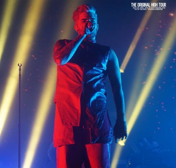 Créditos: Belgian Glamberts
