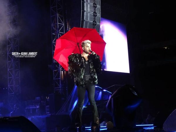 Créditos: Belgian Glamberts
