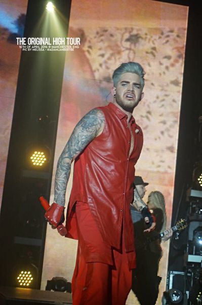 Créditos: Belgian Glamberts
