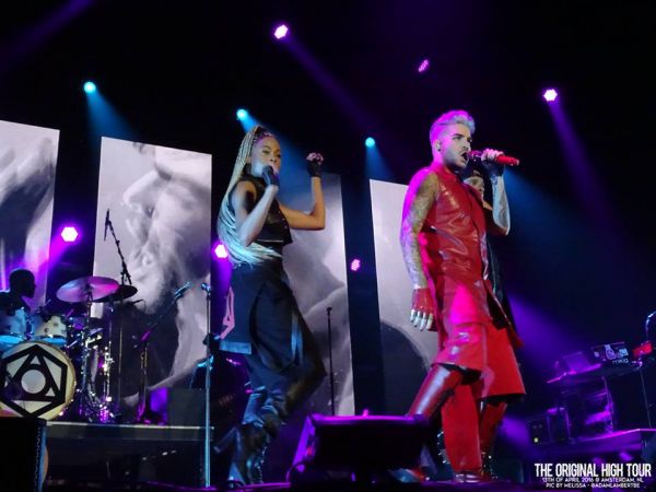 Créditos: Belgian Glamberts
